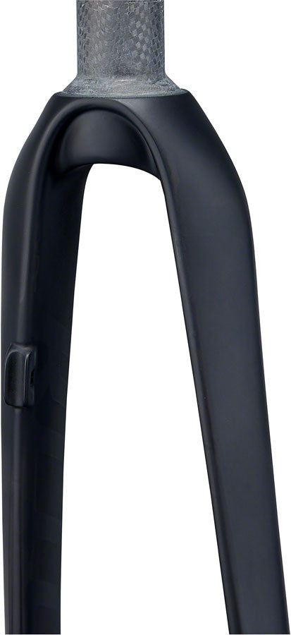 WCS Carbon - FK7729-04.jpg