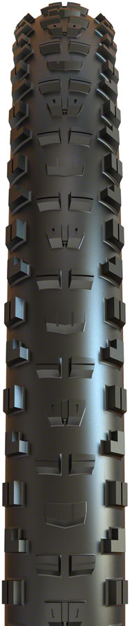 Minion DHR II Tire - TR7438-01.jpg