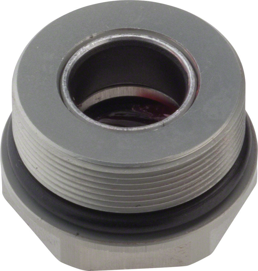 Seal Head - FK8669.jpg
