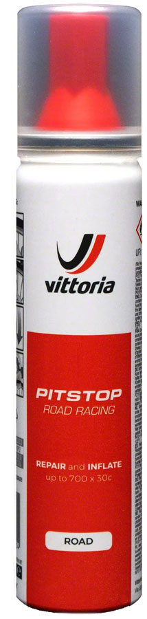 Pit Stop Tire Repair and Sealer - LU3400.jpg
