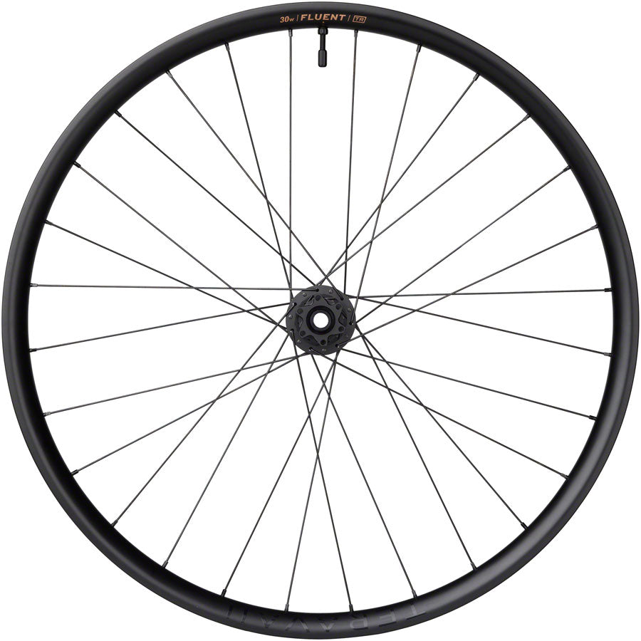 Fluent DT 350 Mountain Front Wheel - WE3018-02.jpg