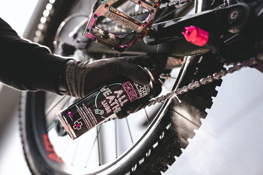 eBike All Weather Lube - LU1016-02.jpg