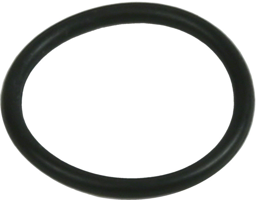 Disc Brake Caliper Bore Caps and Bore Cap O-Rings - BR3884.jpg