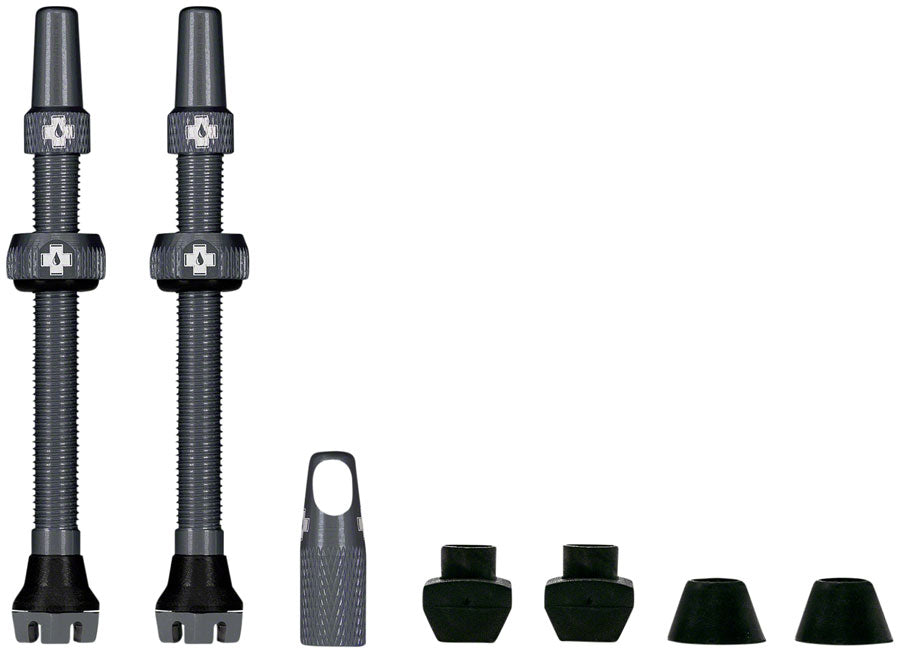 V2 Tubeless Valve Kit - TU2648.jpg