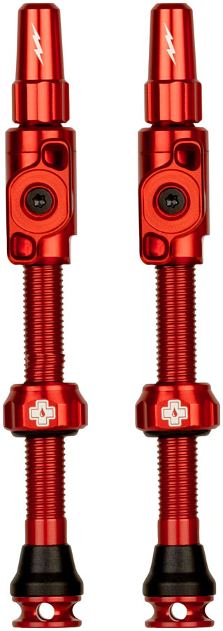 Big Bore Lite Tubeless Valve Stems - TU0316.jpg