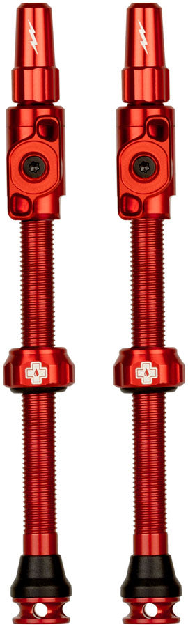Big Bore Lite Tubeless Valve Stems - TU0327.jpg