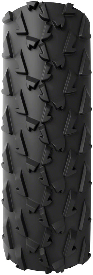 A Dugast Small Bird Tire - TR3237-01.jpg