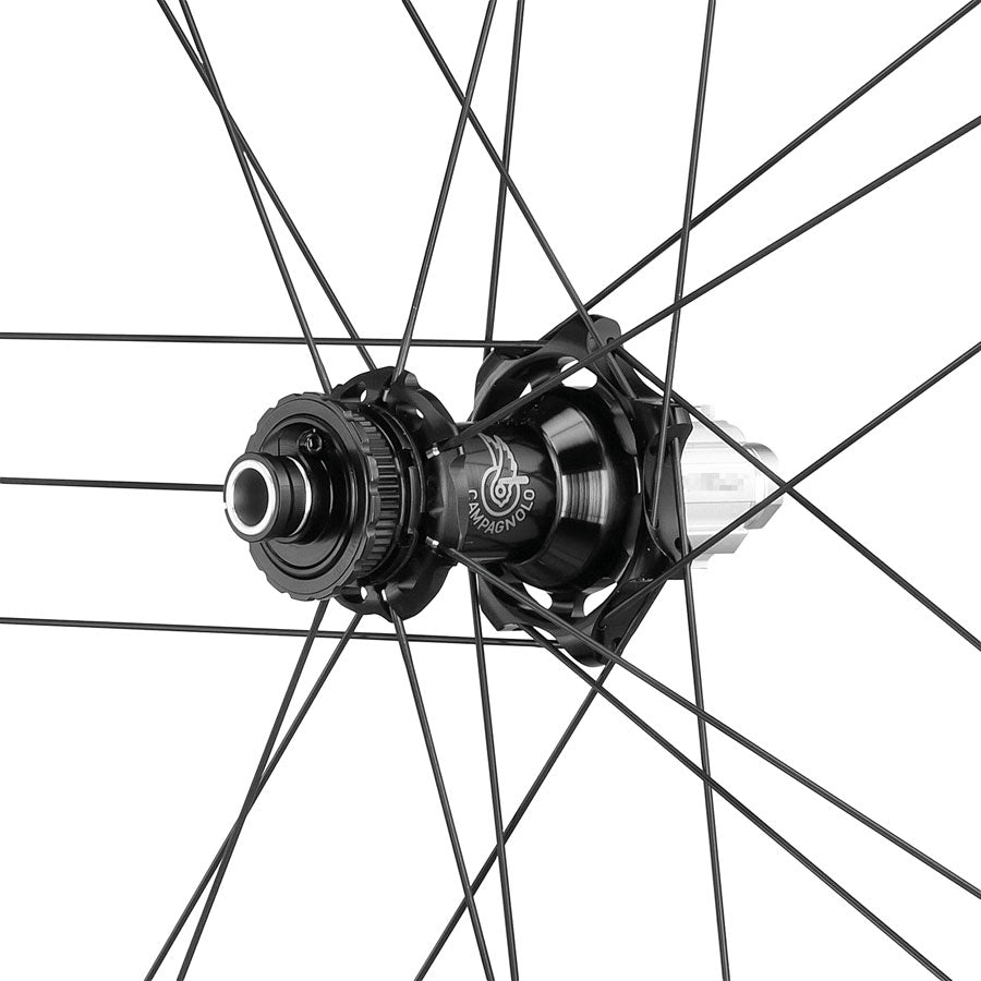 Shamal Dual Profile Rear Wheel - WE2601-01.jpg