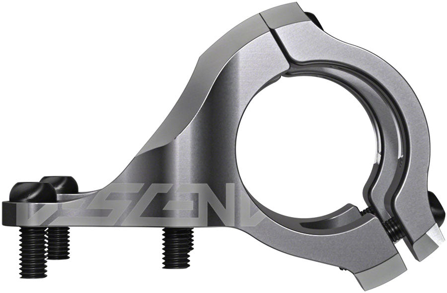 Descendant Stem - SM2773-01.jpg