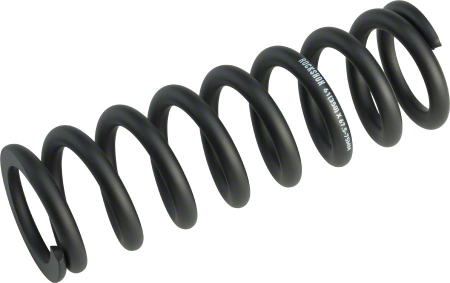 Metric Coil Spring - RS8895.jpg