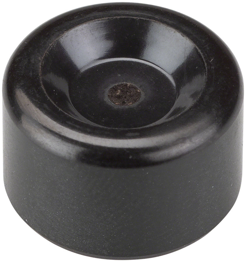 Caliper Pistons & Piston Seals - BR6638.jpg