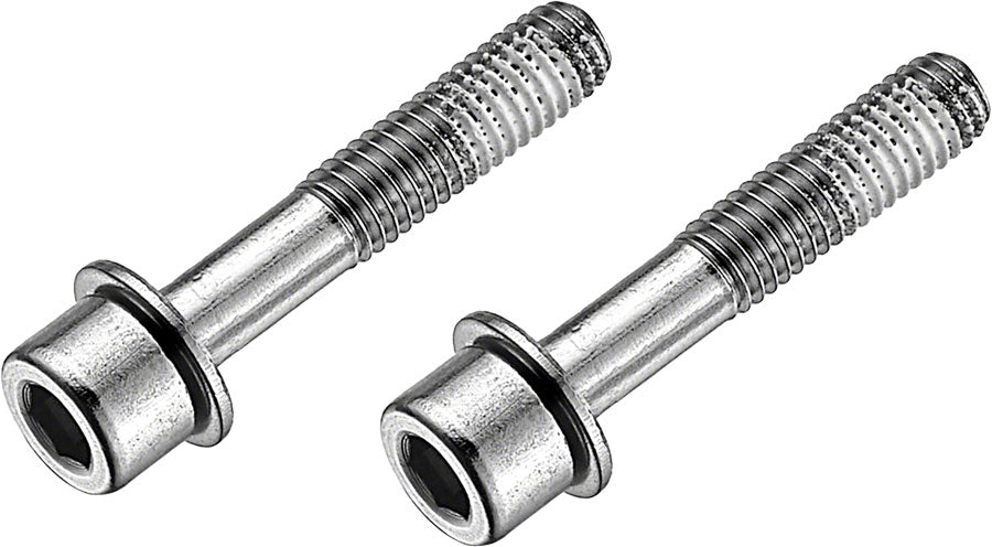 Stainless Flat Mount Disc Brake Caliper Bolts - BR8165.jpg