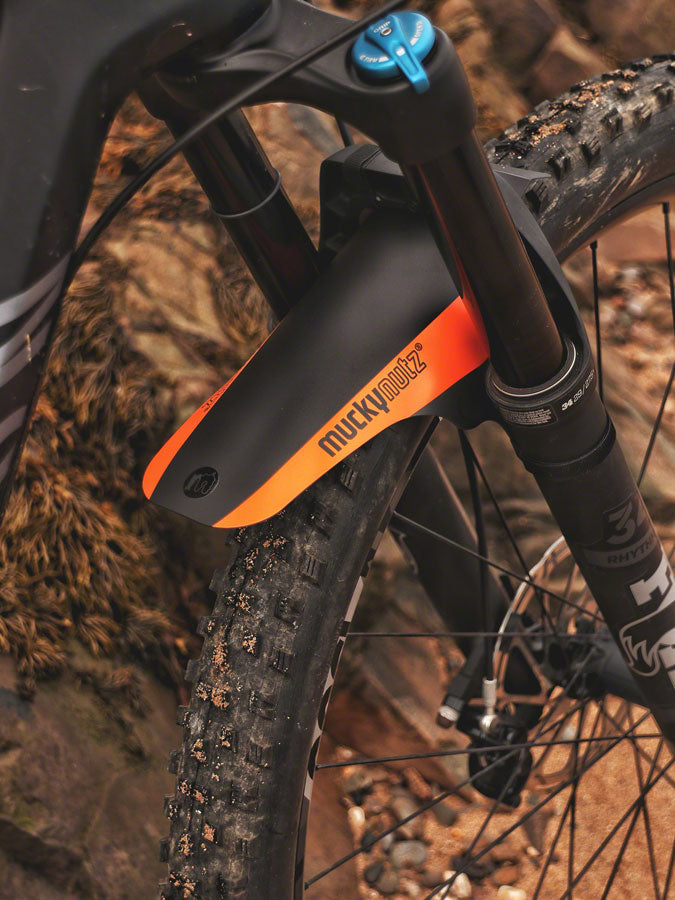 Face Fender - FE0074-01.jpg