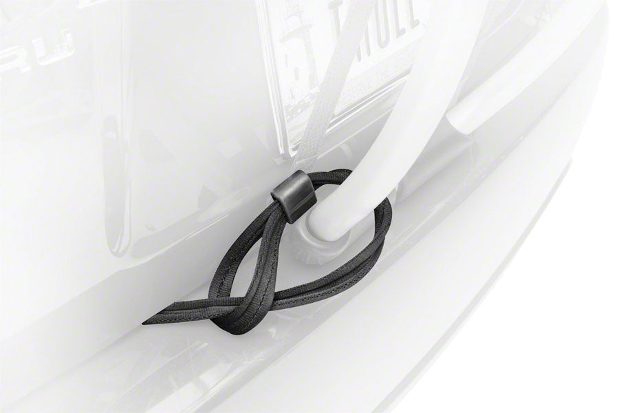 Passive Lock Strap - AR2730.jpg