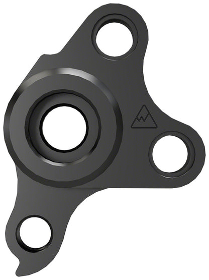 Hangers Requiring 2 Fasteners - FS0174.jpg