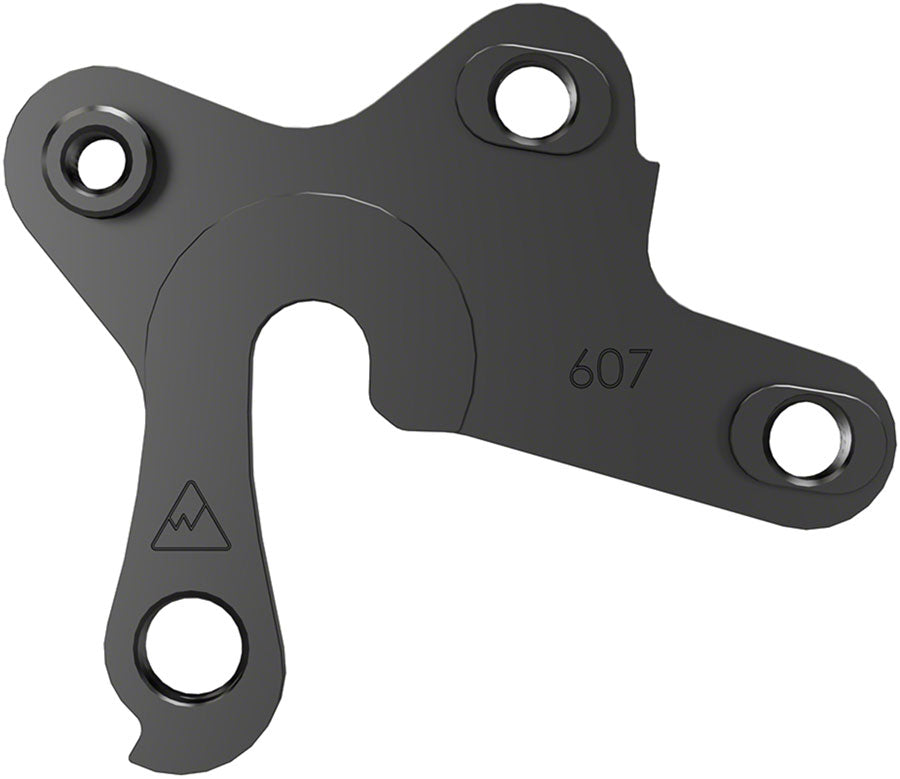 Hangers Requiring 2 Fasteners - FS0253.jpg