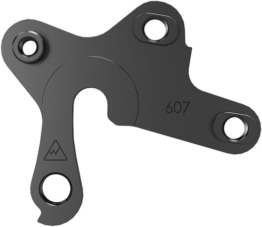 Hangers Requiring 2 Fasteners - FS0253.jpg