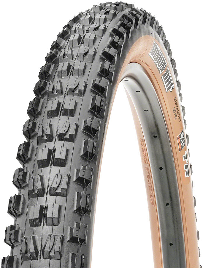 Minion DHF Tire - TR0493.jpg