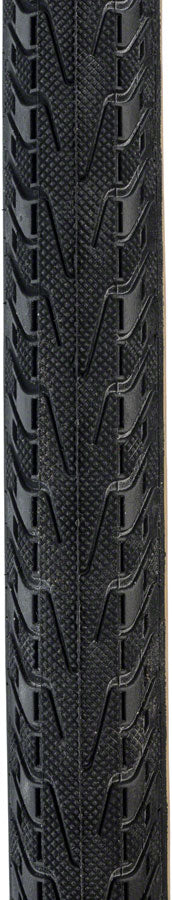 Pasela Tire - TR2301-01.jpg