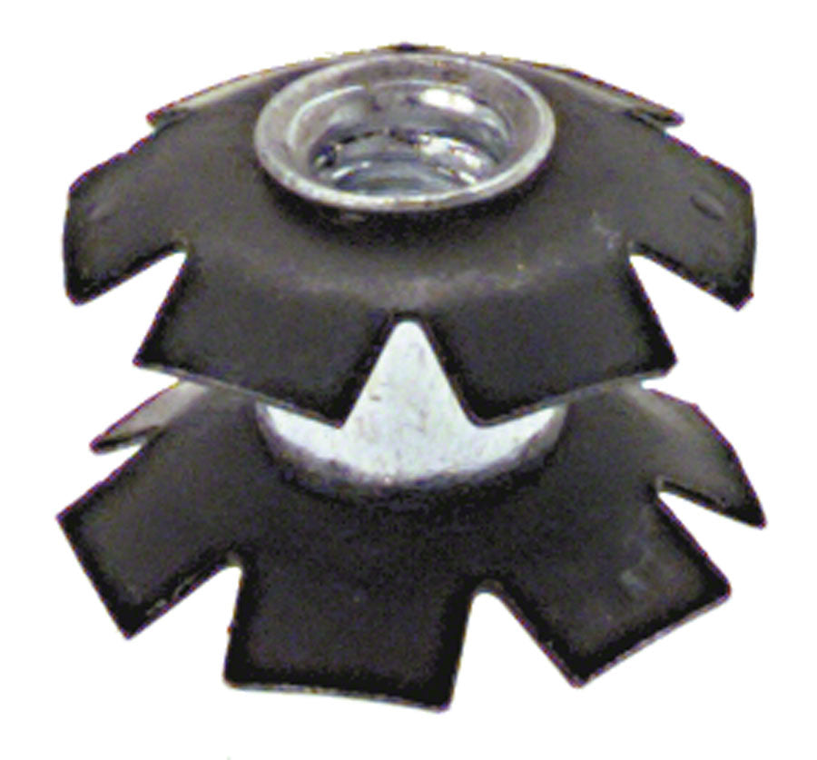 Starnuts - HD2111.jpg