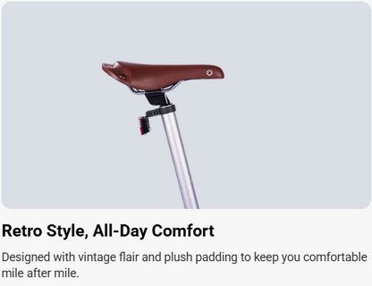 Dahon Boardwalk D7 20" - Rust Brown