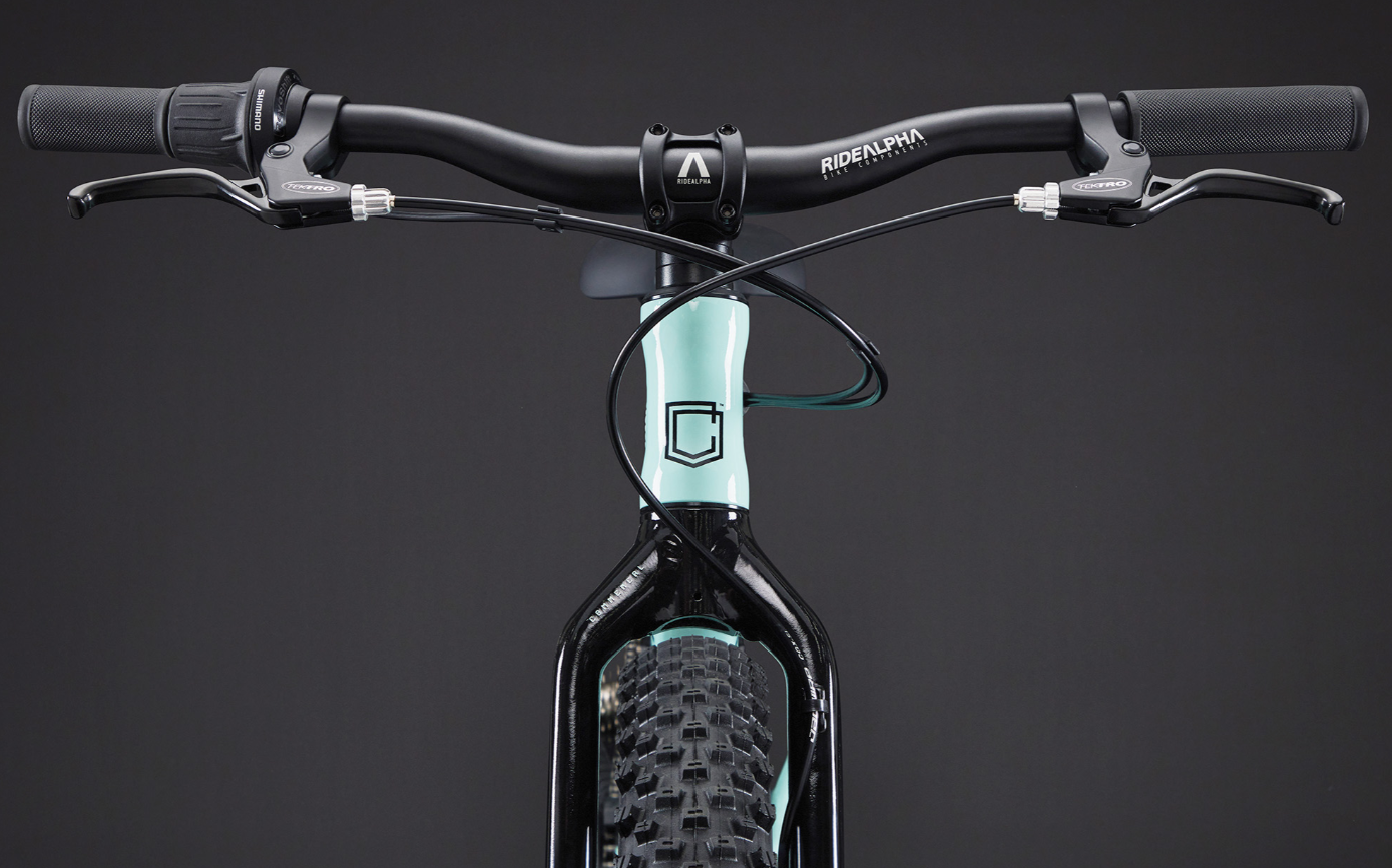 Commencal Ramones 20 Kids Bike - Green
