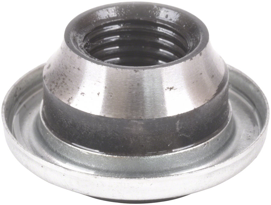 Cones - HU1655.jpg