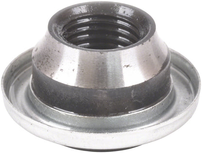 Cones - HU1655.jpg