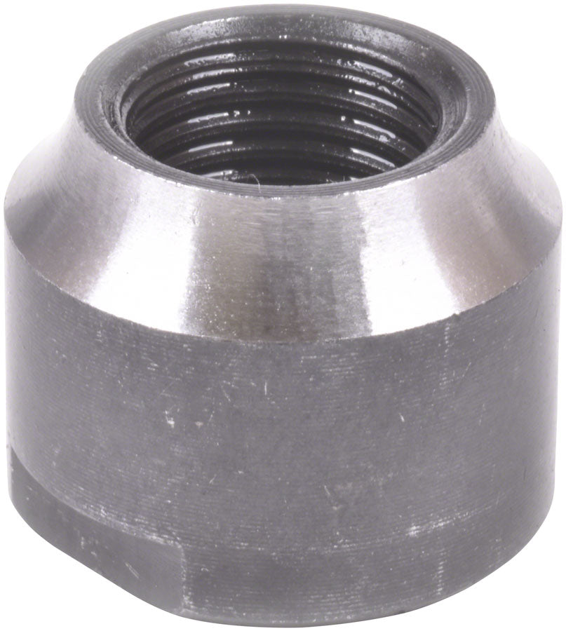 Cones - HU1681.jpg