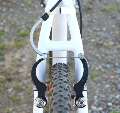 MiniMoto - BR8890-02.jpg