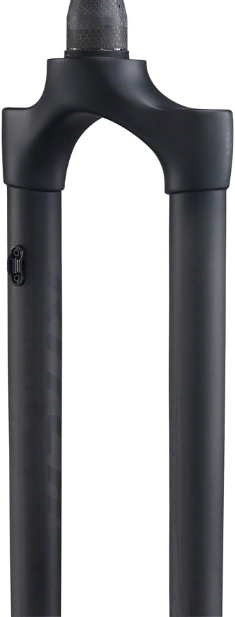 WCS Carbon Fork - FK0411-01.jpg