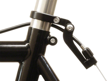 Funky Monkey - ST9066.jpg