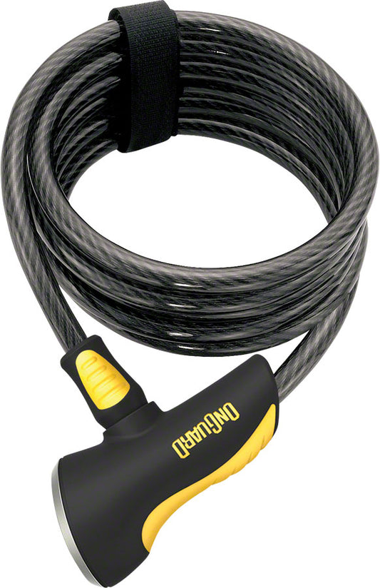 Doberman Keyed - LK8029.jpg
