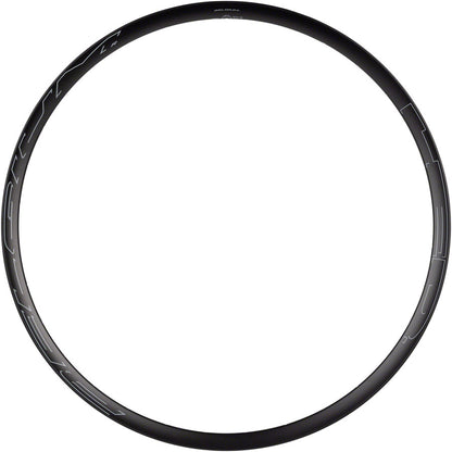 Belgium R Rim - RM0421-01.jpg
