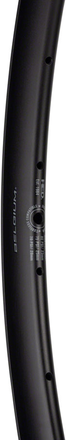 Belgium R Rim - RM0421-02.jpg
