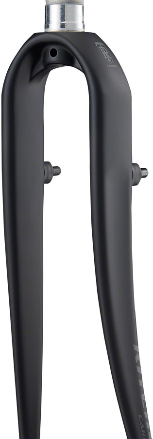Comp Carbon Road Fork - FK1011-01.jpg