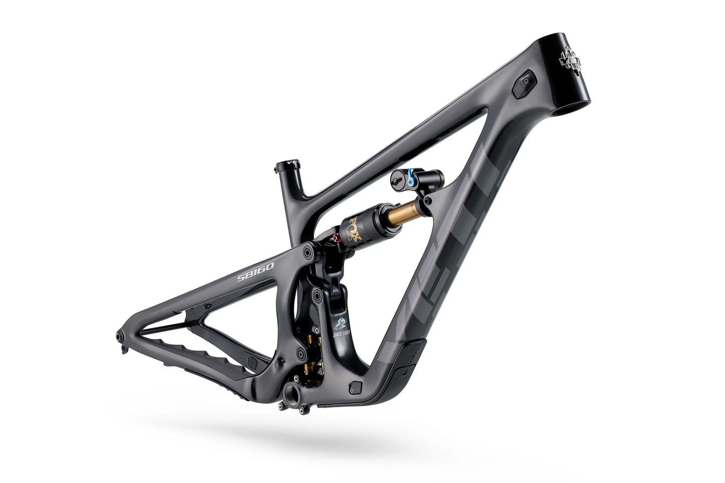 Yeti SB160 C2 29 - Eagle 90 - Fox Factory - Raw Carbon