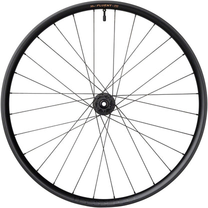 Fluent DT 350 Mountain Rear Wheel - WE3019-02.jpg