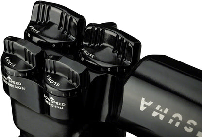 Kitsuma Coil Rear Shock - 2nd Gen - RS1098-01.jpg