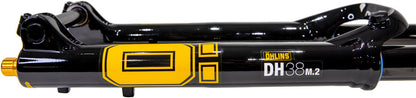 DH38 m.2 Suspension Fork - FK5127-03.jpg