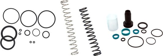 200 Hour Damper Rebuid Kit - RS1915.jpg