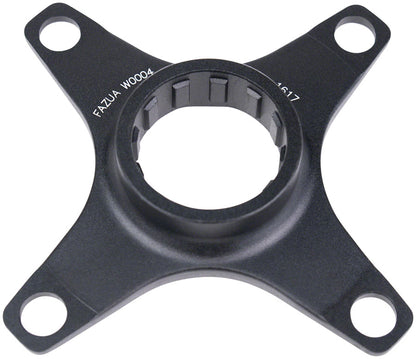 Spider - CR6199.jpg