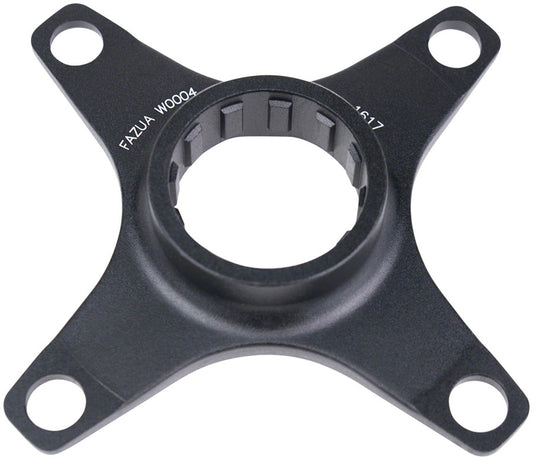Spider - CR6199.jpg