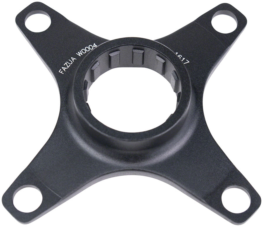 Spider - CR6199.jpg