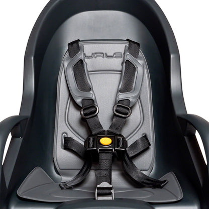 Dash Frame Mount Child Seat - RK0252-04.jpg