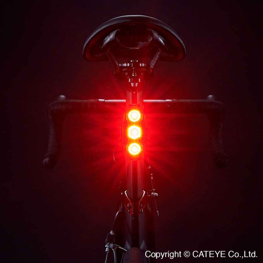 ViZ450 Taillight - LT0188-01.jpg