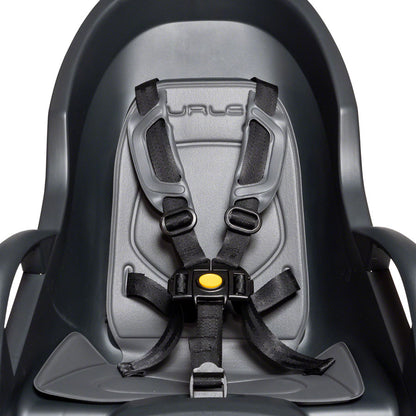 Dash Frame Mount Extended Rail Child Seat - RK2555-03.jpg