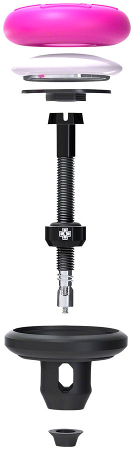 Stealth Tubeless Tag Holder & Valve Kit - TU0011-01.jpg