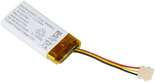 System Controller Battery - EP1382.jpg