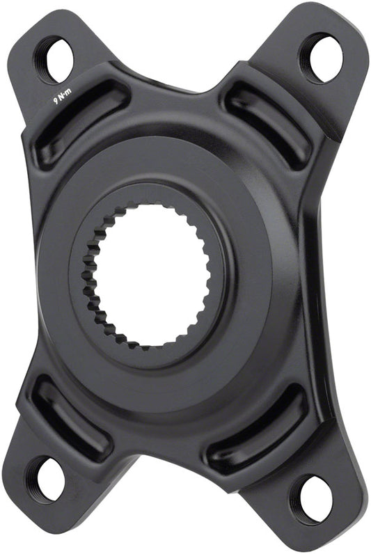 Bosch Spiders - CK0266.jpg